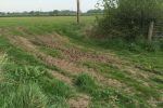 Photo 08: This most troublesome point of the walk for buggies an wheelchairs is no problem when dry/soft.