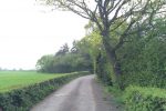 Photo 09: Green lane takes us back onto hard footpaths.