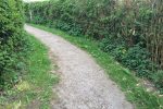 Photo 15: Exit from the park is a bumpy stone path.